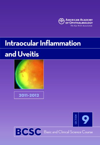 Imagen de archivo de 2011-2012 Basic and Clinical Science Course, Section 9: Intraocular Inflammation and Uveitis (Basic & Clinical Science Course) a la venta por Better World Books