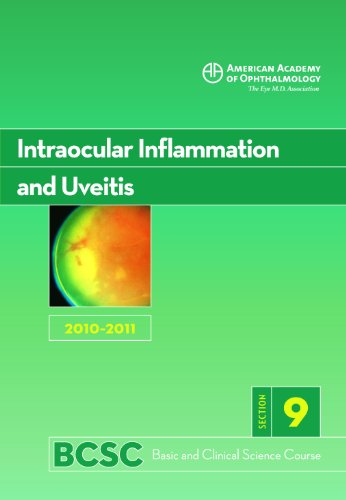 Beispielbild fr Basic and Clinical Science Course 2010-2011 Section 9: Intraocular Inflammation and Uveitis zum Verkauf von Better World Books