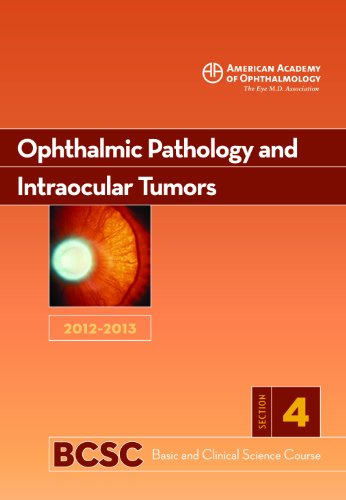 Beispielbild fr 2012-2013 Basic and Clinical Science Course, Section 4: Ophthalmic Pathology and Intraocular Tumors zum Verkauf von Better World Books
