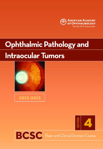 Stock image for 2012-2013 Basic and Clinical Science Course, Section 4: Ophthalmic Pathology and Intraocular Tumors for sale by Better World Books