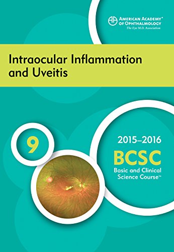 Imagen de archivo de 2015-2016 Basic and Clinical Science Course (BCSC), Section 9: Intraocular Inflammation and Uveitis a la venta por ThriftBooks-Atlanta