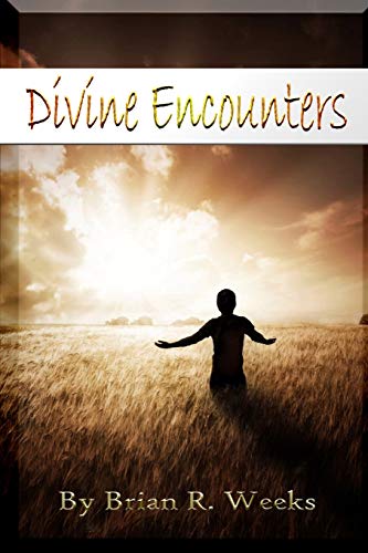 Stock image for Divine Encounters for sale by ThriftBooks-Atlanta