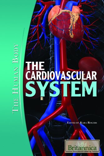 Imagen de archivo de The Cardiovascular System a la venta por Better World Books
