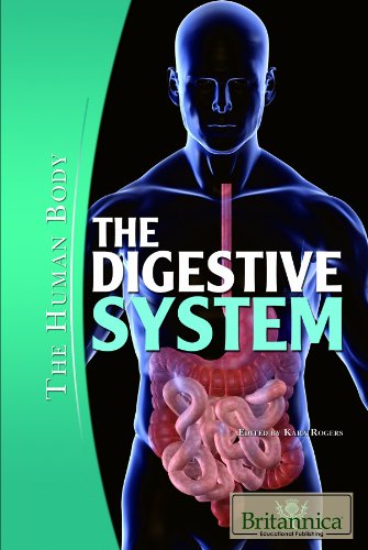 Imagen de archivo de The Digestive System a la venta por Better World Books