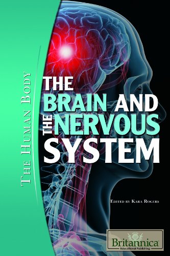Imagen de archivo de The Brain and the Nervous System (The Human Body) [Library Binding] Rogers, Kara a la venta por Turtlerun Mercantile