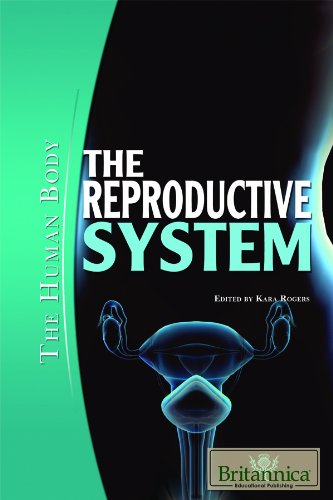 Imagen de archivo de The Reproductive System a la venta por Better World Books