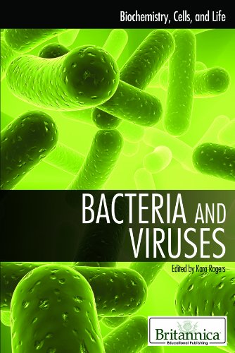 Imagen de archivo de Bacteria and Viruses a la venta por Better World Books