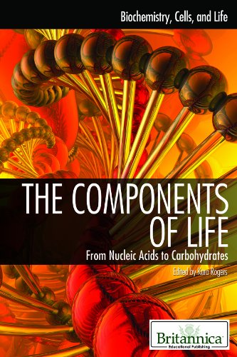 Imagen de archivo de The Components of Life: From Nucleic Acids to Carbohydrates (Biochemistry, Cells, and Life) a la venta por SecondSale
