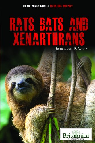 Stock image for Rats, Bats, and Xenarthrans (The Britannica Guide to Predators and Prey) for sale by More Than Words