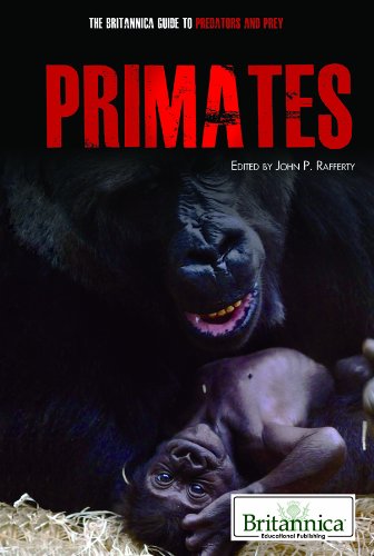 9781615303397: Primates