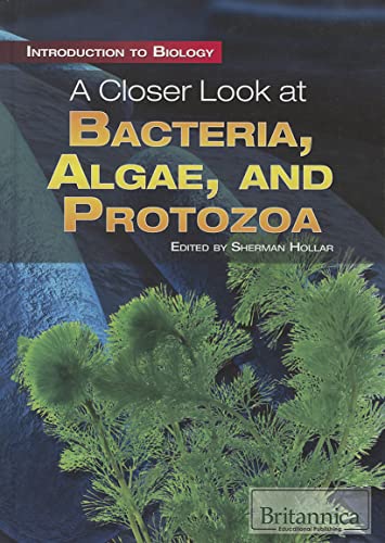 Beispielbild fr A Closer Look at Bacteria, Algae, and Protozoa zum Verkauf von Better World Books