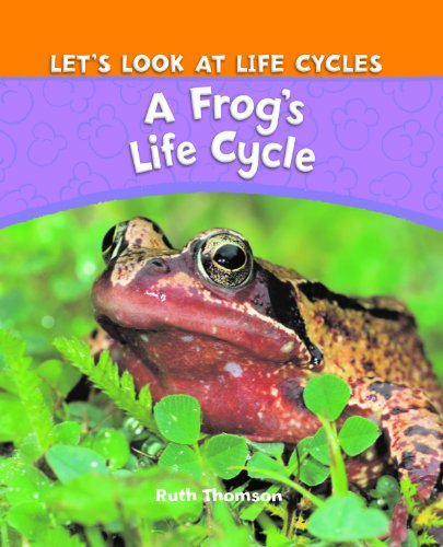 Stock image for A Frog's Life Cycle for sale by Better World Books