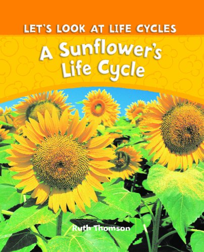 Stock image for A Sunflower's Life Cycle for sale by The Book Bin