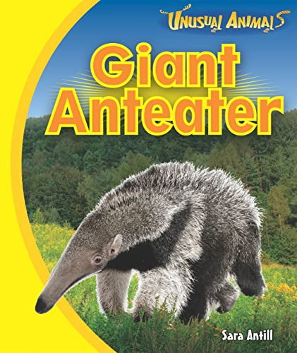 Beispielbild fr Giant Anteater (Unusual Animals) zum Verkauf von AwesomeBooks