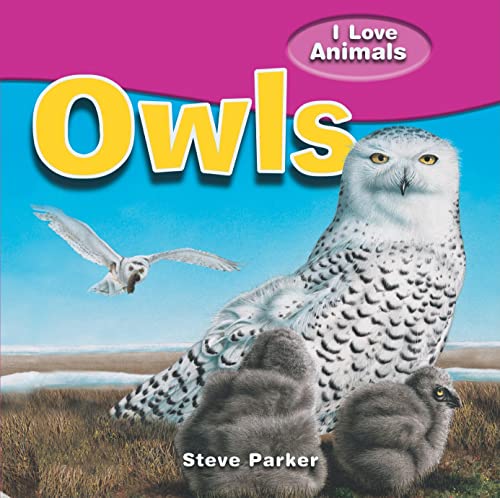 Imagen de archivo de Owls (I Love Animals) a la venta por Irish Booksellers