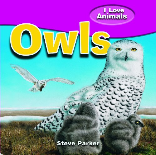 9781615332298: Owls (I Love Animals)