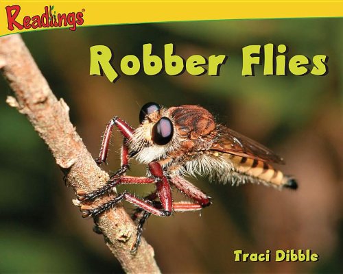 Beispielbild fr Robber Flies zum Verkauf von ThriftBooks-Dallas