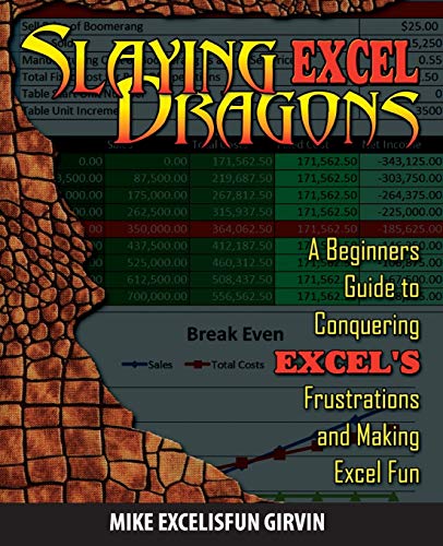 Stock image for Slaying Excel Dragons : A Beginners Guide to Conquering Excel's Frustrations and Making Excel Fun for sale by Better World Books: West