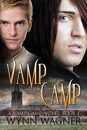 Stock image for Vamp Camp for sale by Buchpark
