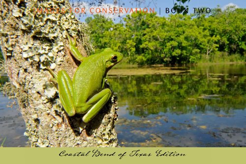 Stock image for Images for Conservation - Book Two: Coastal Bend of Texas Edition (Pro-Tour series) for sale by Better World Books