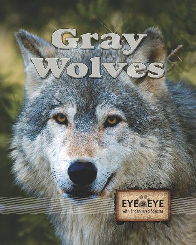 Stock image for Gray Wolves (Eye to Eye with Endangered Species) for sale by Jenson Books Inc