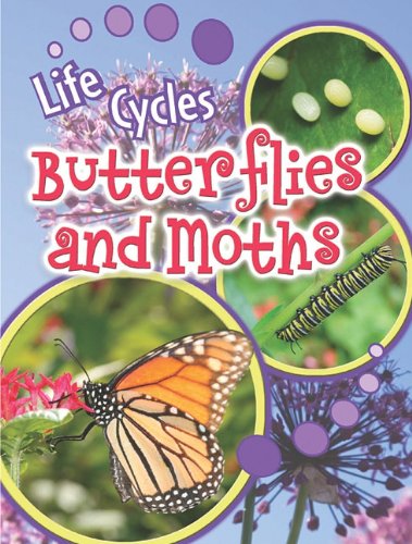 9781615903085: Butterflies and Moths