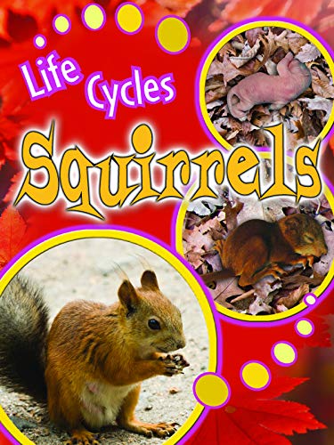 Beispielbild fr Squirrels zum Verkauf von Better World Books