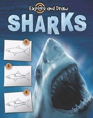 9781615904921: Sharks: Drawing and Reading