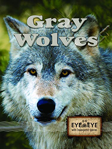 Stock image for Gray Wolves (Eye To Eye With Endangered Species) for sale by SecondSale