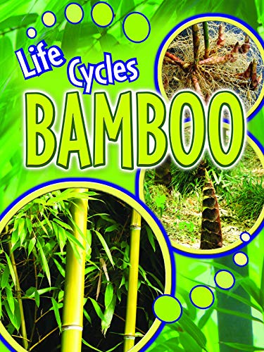 Stock image for Bamboo for sale by ThriftBooks-Atlanta