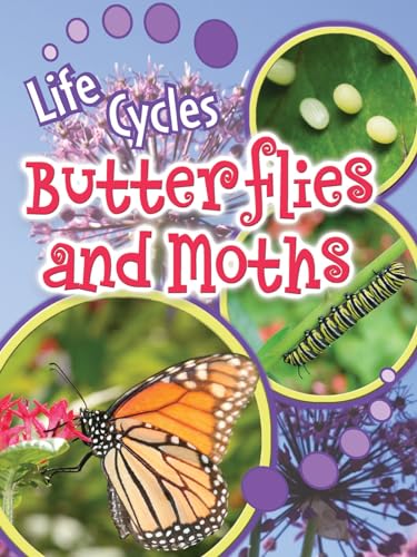 Beispielbild fr Butterflies and Moths zum Verkauf von Better World Books