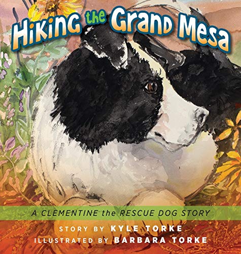 Imagen de archivo de Hiking The Grand Mesa a la venta por GreatBookPrices