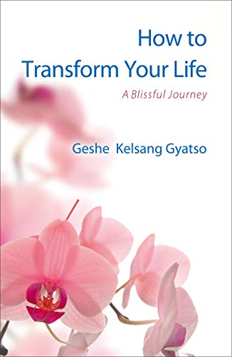 Imagen de archivo de How to Transform Your Life: A Blissful Journey a la venta por ZBK Books