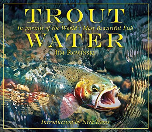 Stock image for Trout Water: In Pursuit of the Worlds Most Beautiful Fish for sale by Goodwill Books