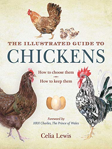 Stock image for The Illustrated Guide to Chickens : How to Choose Them, How to Keep Them for sale by Better World Books