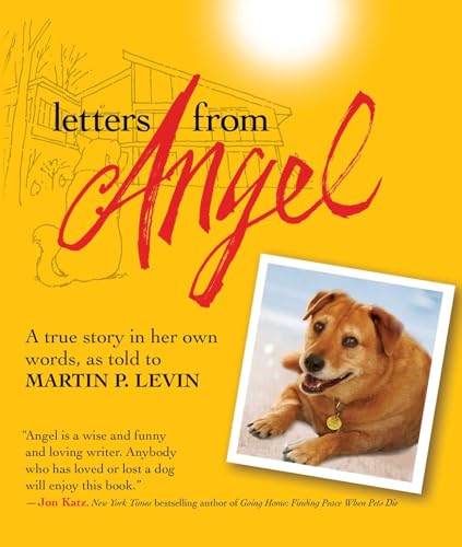 Letters from Angel: A True Story In her Own Words (9781616084578) by Levin, Martin P.