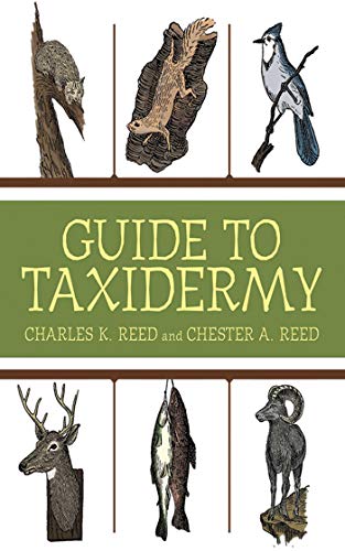 Stock image for Guide to Taxidermy for sale by HPB-Ruby