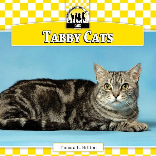 9781616134020: Tabby Cats (Cats, Set 1)