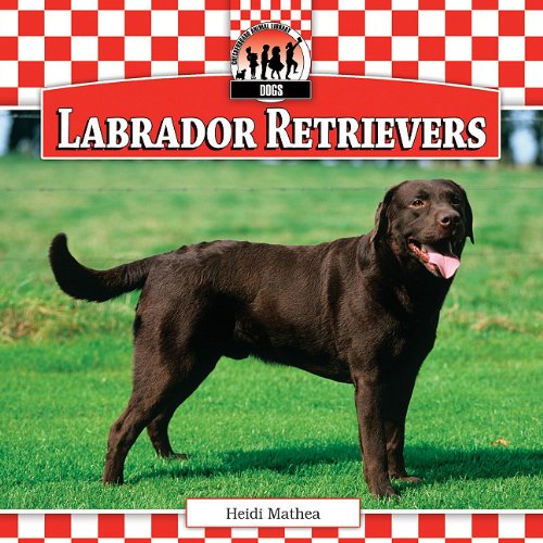 Beispielbild fr Labrador Retrievers zum Verkauf von Better World Books