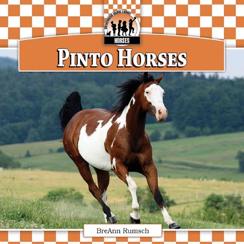 Stock image for Pinto Horses for sale by Better World Books: West