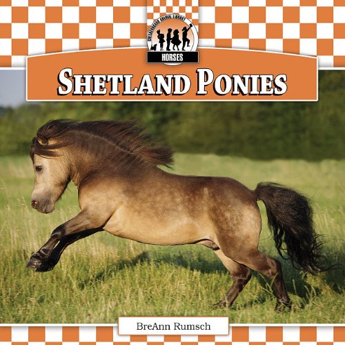 Imagen de archivo de Shetland Ponies (Horses) a la venta por Half Price Books Inc.