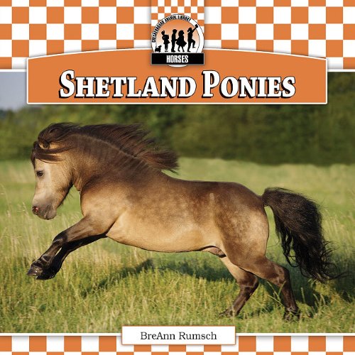 Stock image for Shetland Ponies (Horses) for sale by Half Price Books Inc.