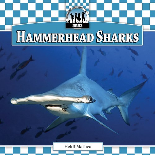 Beispielbild fr Hammerhead Sharks zum Verkauf von Better World Books