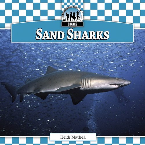 Beispielbild fr Sand Sharks zum Verkauf von Phatpocket Limited