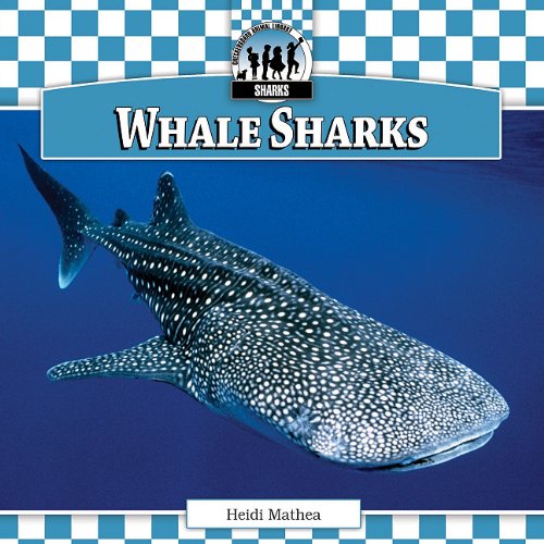 Beispielbild fr Whale Sharks zum Verkauf von Better World Books