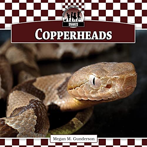 9781616134341: Copperheads (Snakes)