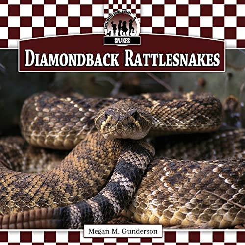 Stock image for Diamondback Rattlesnakes for sale by Better World Books