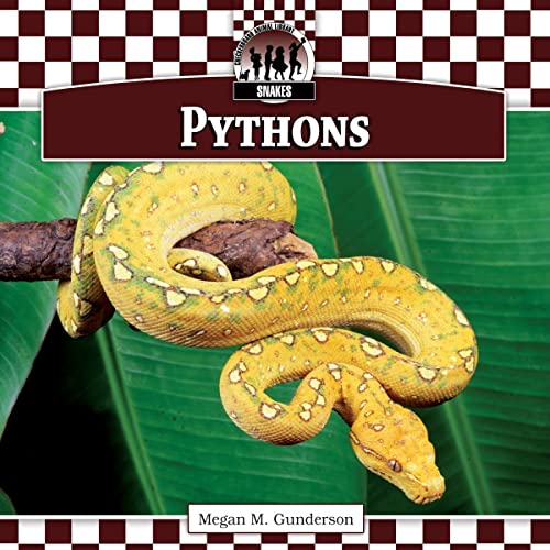 Stock image for Pythons (Snakes) for sale by SecondSale