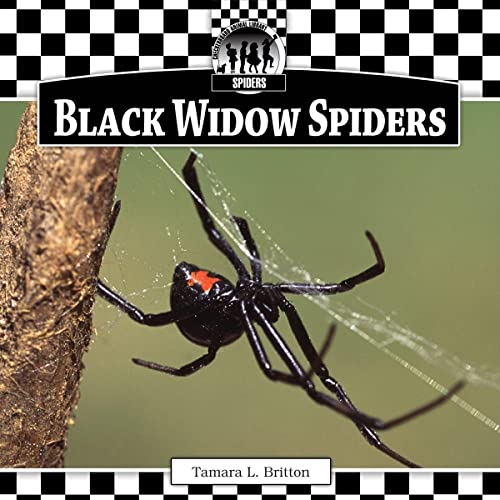 Beispielbild fr Black Widow Spiders zum Verkauf von ThriftBooks-Dallas