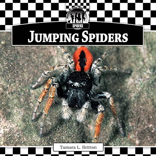Stock image for Jumping Spiders for sale by Half Price Books Inc.